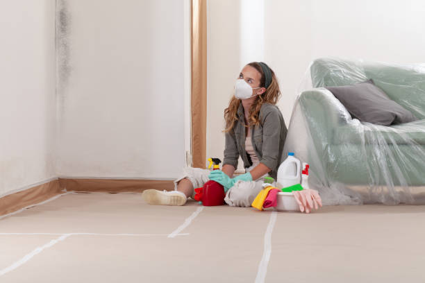 Reliable Mold Cleanup contractor in Millington, MD by WQB Mold Removal